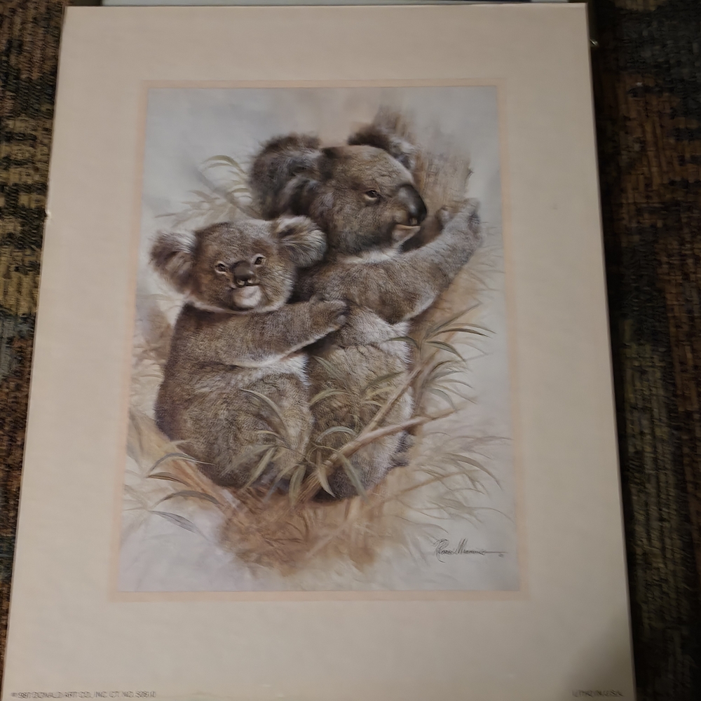 4/$67 Deal! Vintage Koala Set Of Prints- 80's art Prints Of Koala And Baby